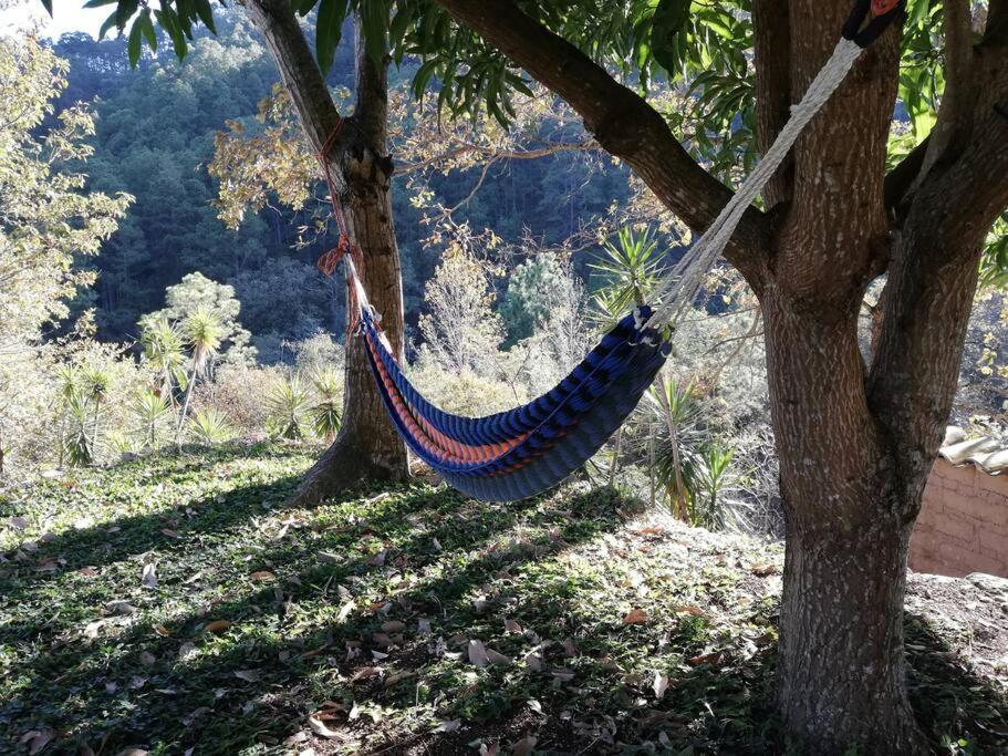 Ecolodge Guancascos, Cabana Para 16 Personas Al Pie Del Pn Celaque Gracias Exterior photo